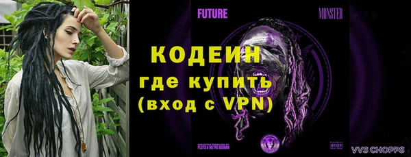 ГАЛЛЮЦИНОГЕННЫЕ ГРИБЫ Елабуга