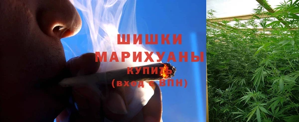 ГАЛЛЮЦИНОГЕННЫЕ ГРИБЫ Елабуга