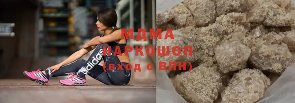 гидра Ельня