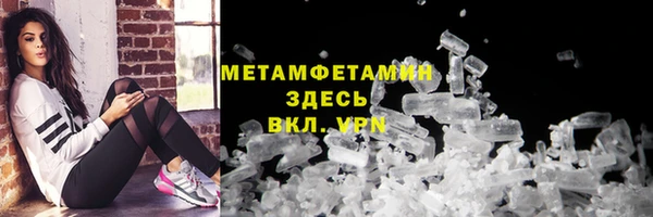 гидра Ельня