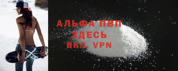 ГАЛЛЮЦИНОГЕННЫЕ ГРИБЫ Елабуга