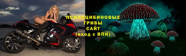гидра Ельня