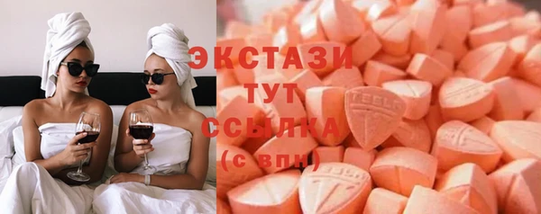 гидра Ельня