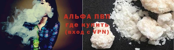 ГАЛЛЮЦИНОГЕННЫЕ ГРИБЫ Елабуга