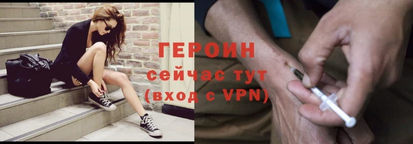 гидра Ельня