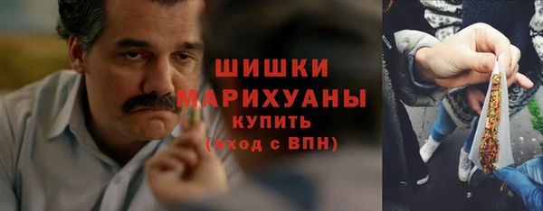 гидра Ельня