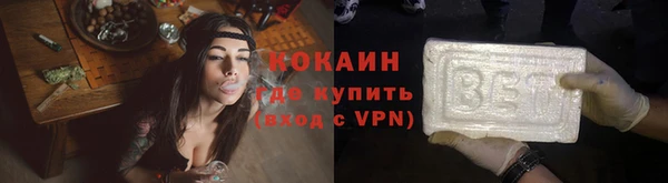 гидра Ельня