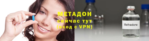 гидра Ельня