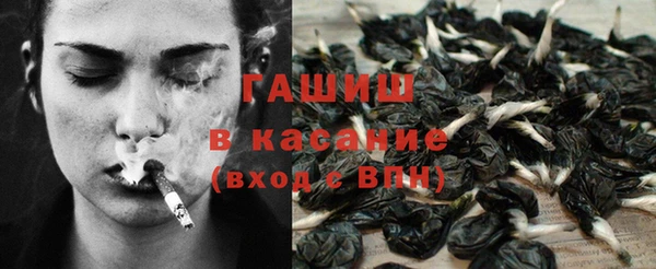 ГАЛЛЮЦИНОГЕННЫЕ ГРИБЫ Елабуга