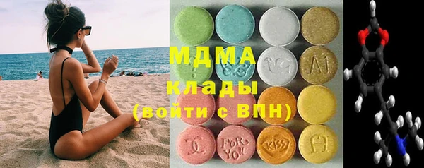 гидра Ельня