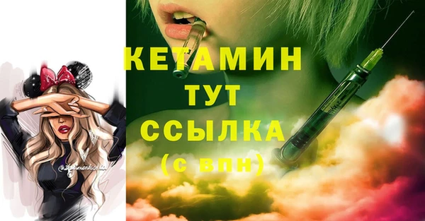 гидра Ельня