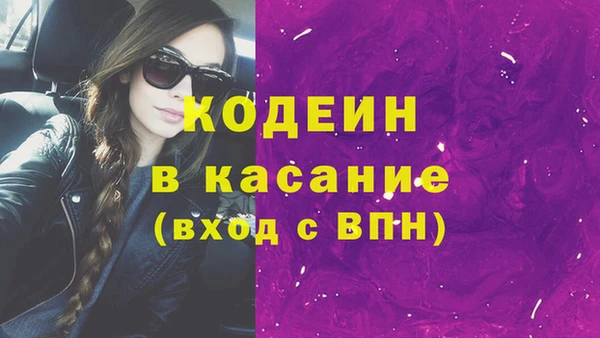 гидра Ельня