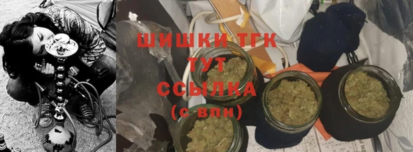 гидра Ельня
