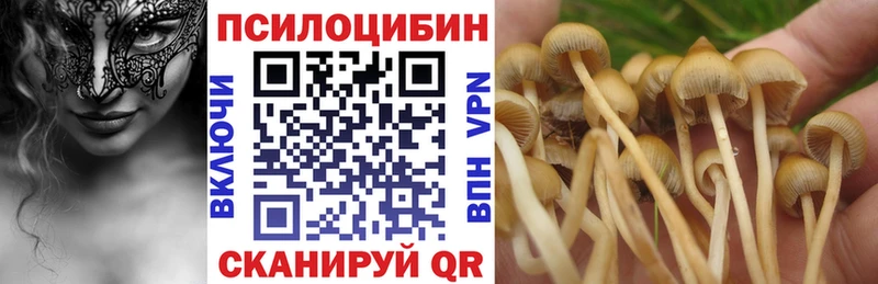 Псилоцибиновые грибы Magic Shrooms  Саянск 