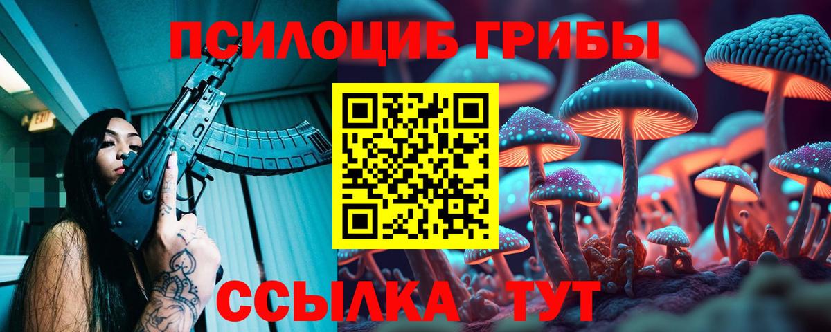 Саянск  Псилоцибиновые грибы прущие грибы  Псилоцибиновые грибы Cubensis  Вход с VPN 